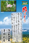 Vol.13