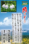 Vol.14