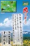Vol.15