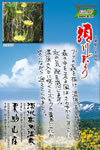 Vol.17