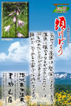 Vol.18