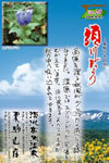 Vol.20