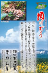 Vol.21