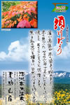 Vol.22