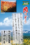 Vol.23