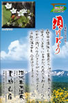 Vol.24
