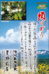 Vol.26