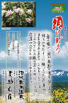 Vol.3