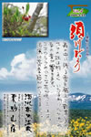 Vol.4