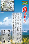 Vol.5