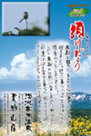 Vol.7