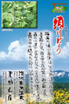 Vol.9