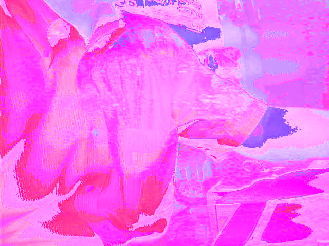 20�b���Ɏ����X�V�����f����z�M���I
